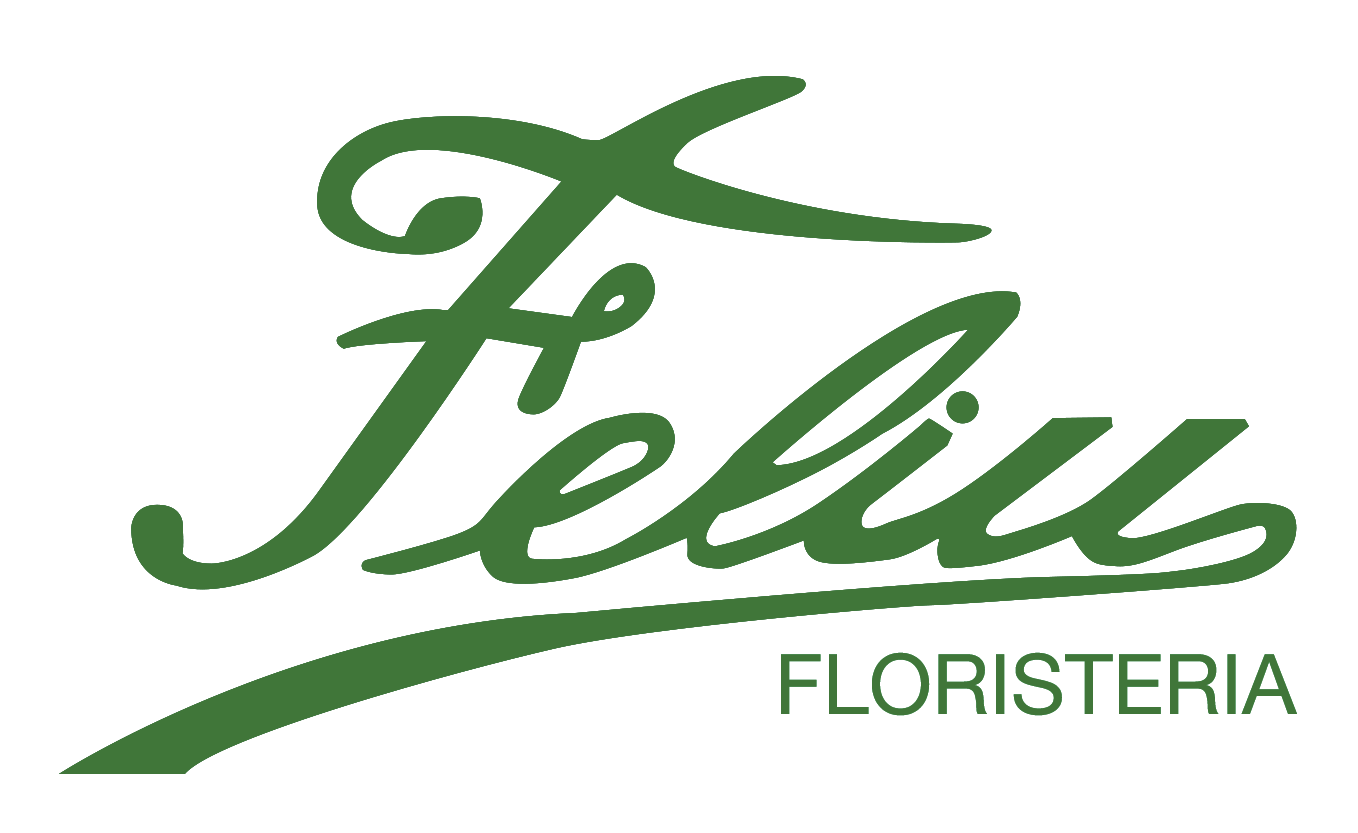 Logo Floristería Feliu